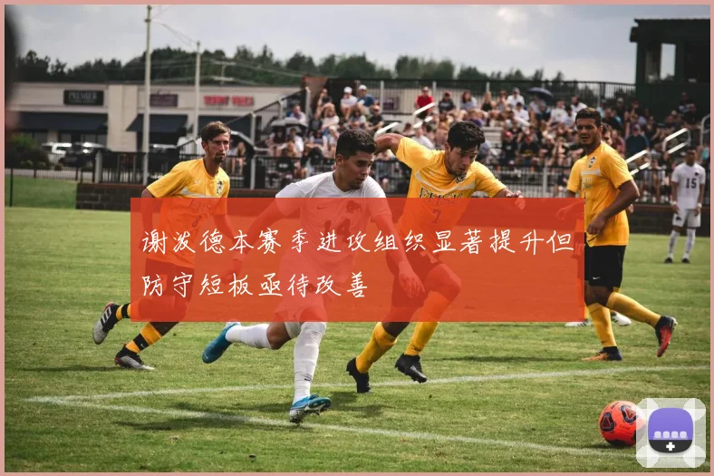 谢泼德本赛季进攻组织显著提升但防守短板亟待改善