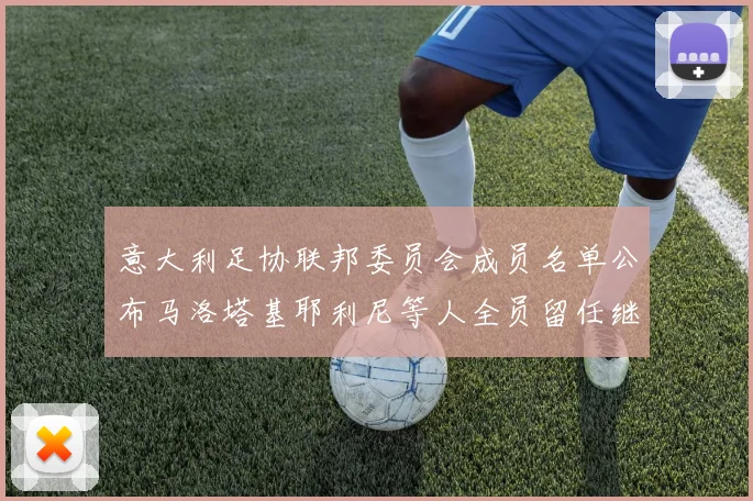 意大利足协联邦委员会成员名单公布马洛塔基耶利尼等人全员留任继续服务