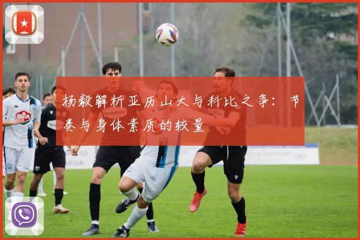 杨毅解析亚历山大与科比之争：节奏与身体素质的较量